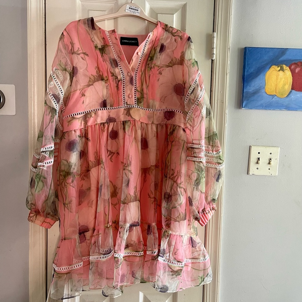 Cynthia Rowley Poppy Organza Dress Size L